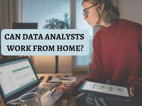 Read more about the article Can data analysts work from home?